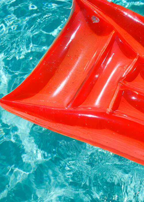 Summer 2025 Newsletter Cover Image