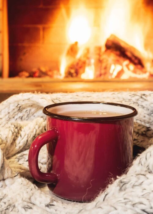 Winter 2026 Newsletter Cover Image